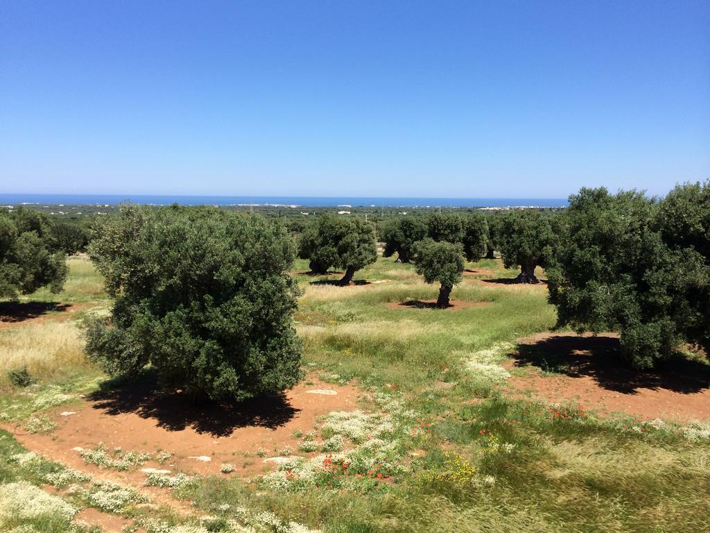 Masseria Capece Vakantieboerderij